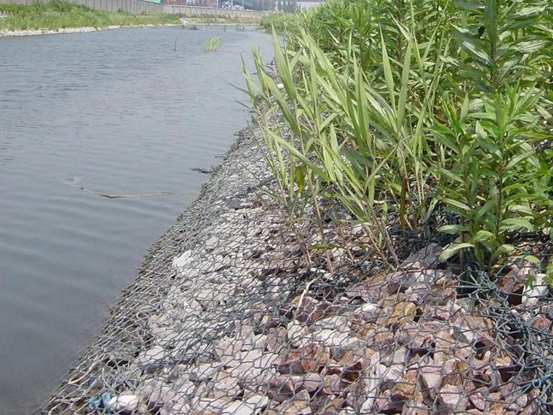 綠格網墊